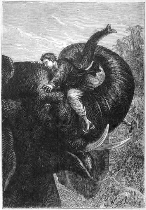 Engraving from the 1873 edition: a traveller clinging to the trunk of an elephant.